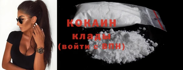 гашик Козловка
