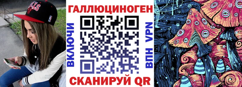 как найти   Курчатов  Галлюциногенные грибы ЛСД 